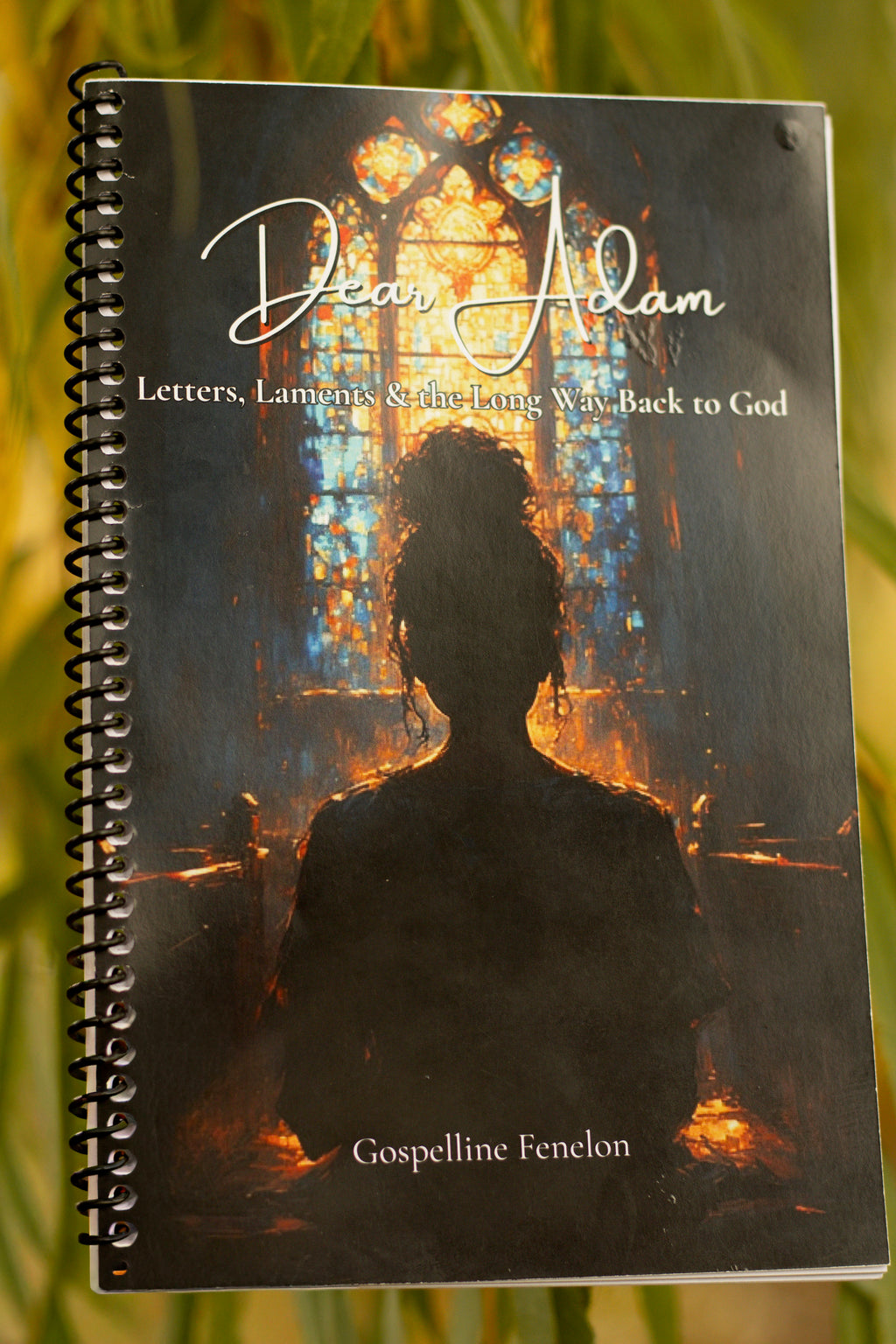 Dear Adam: Letters, Laments & the Long Way Home